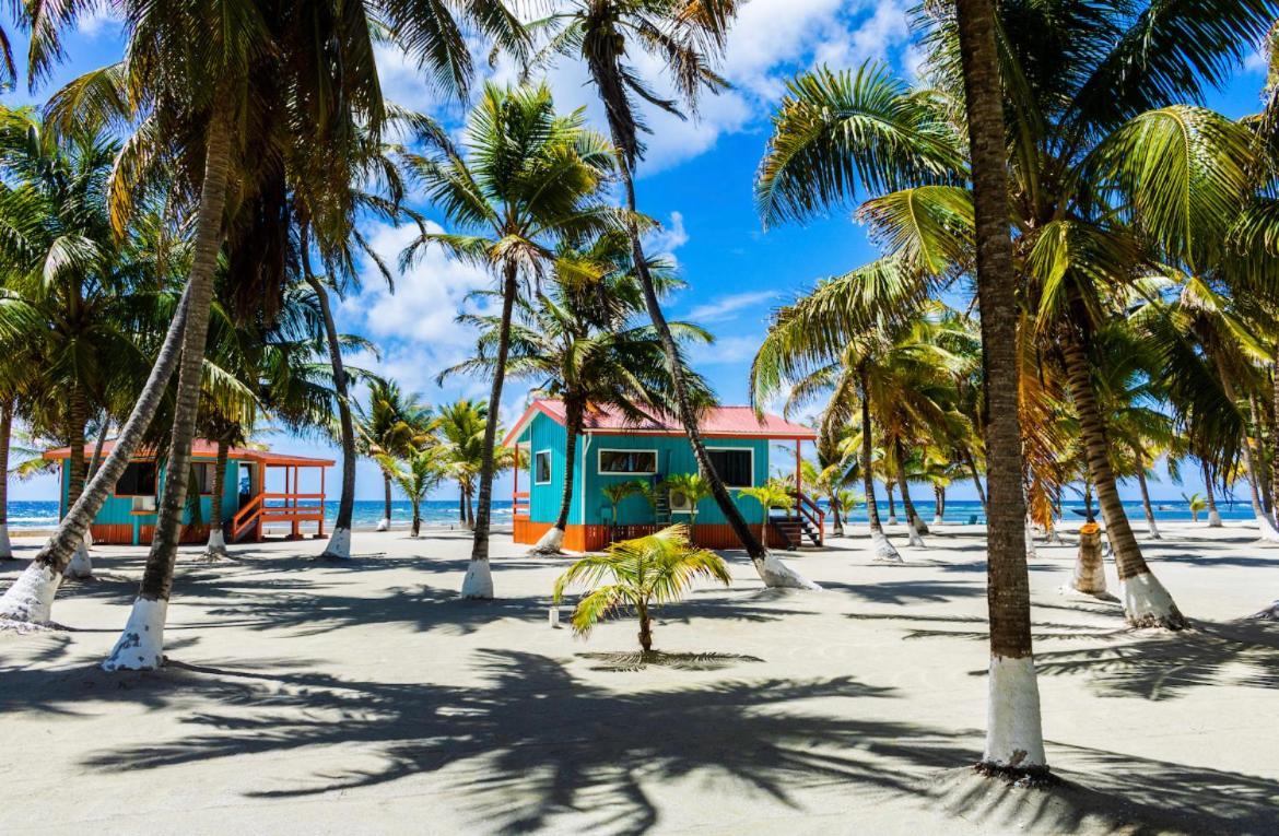 Blue Marlin Beach Resort Dangriga Eksteriør bilde