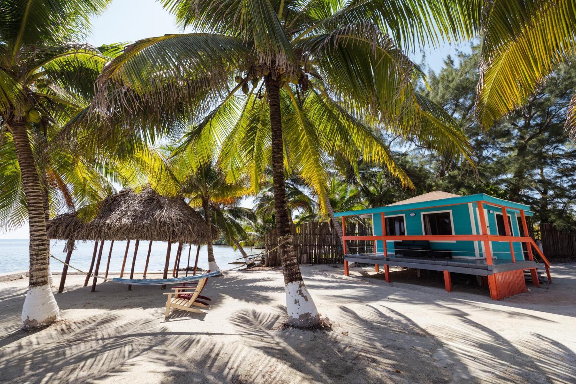 Blue Marlin Beach Resort Dangriga Eksteriør bilde