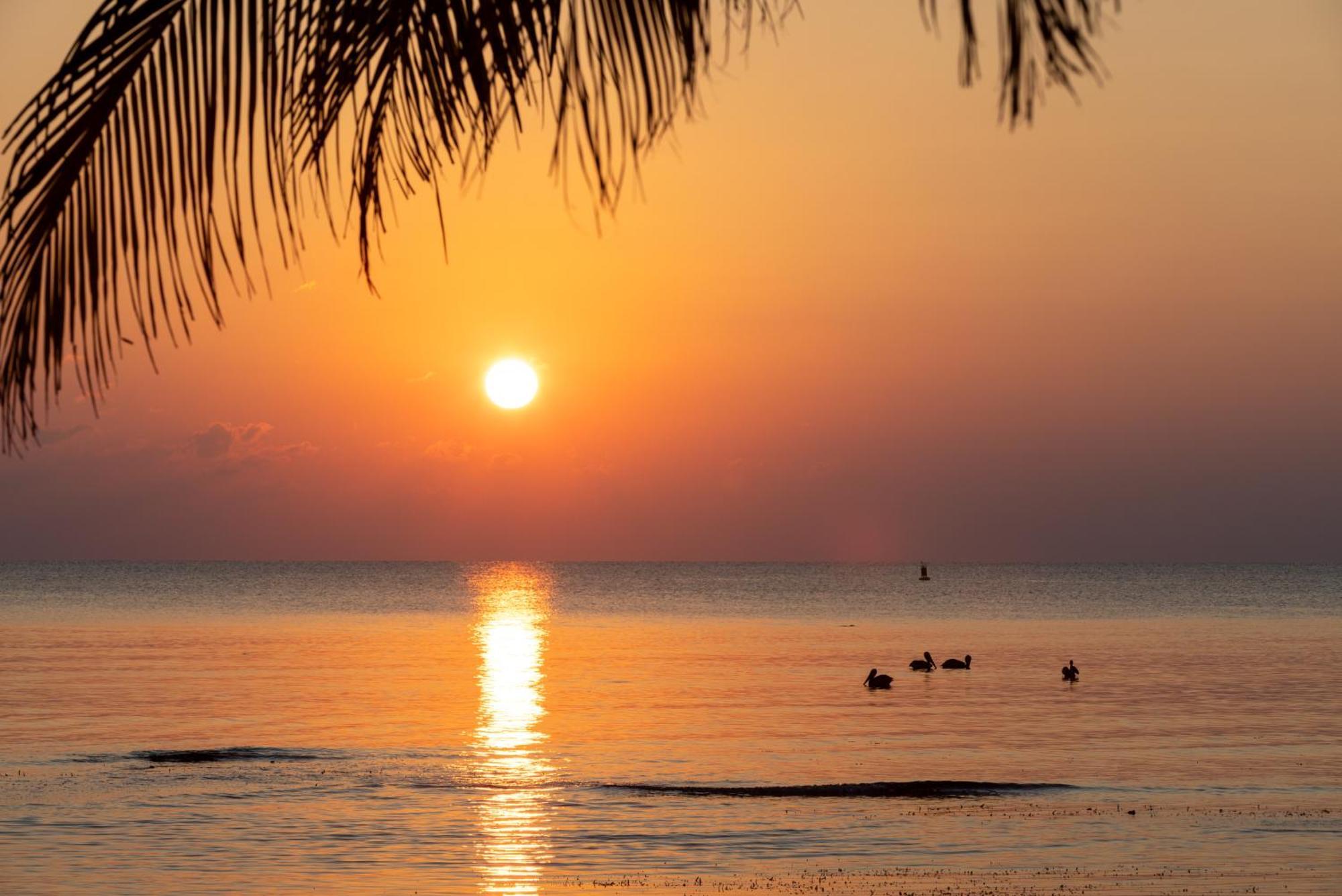 Blue Marlin Beach Resort Dangriga Eksteriør bilde