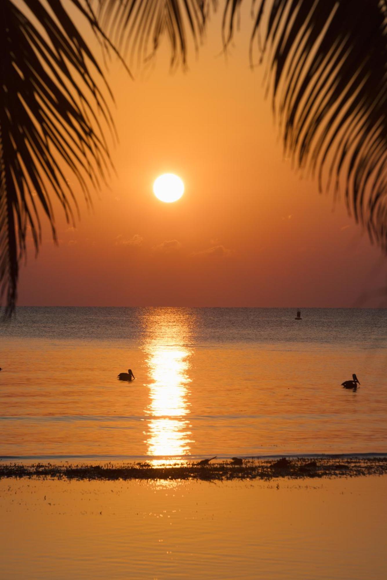 Blue Marlin Beach Resort Dangriga Eksteriør bilde