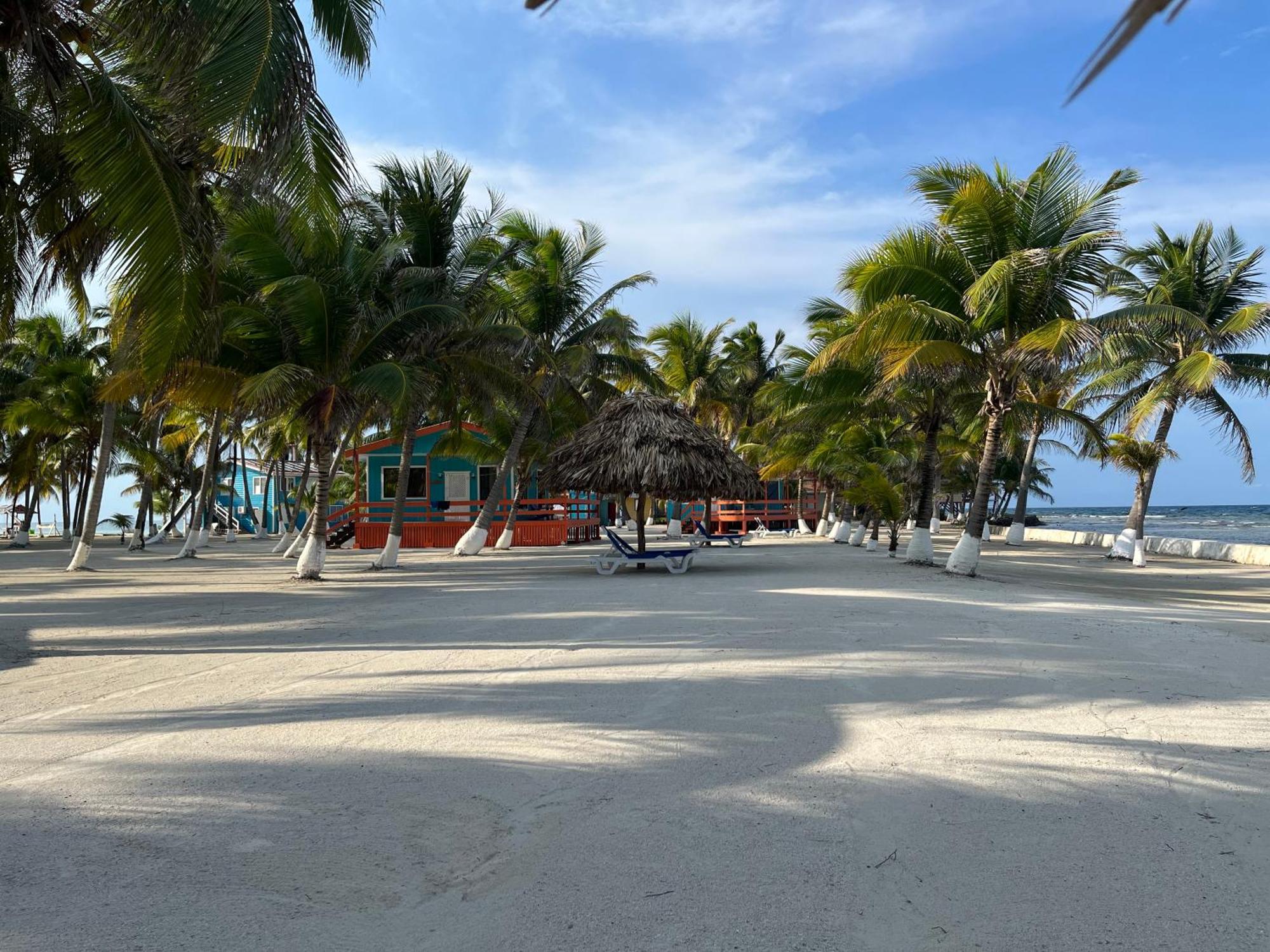 Blue Marlin Beach Resort Dangriga Eksteriør bilde