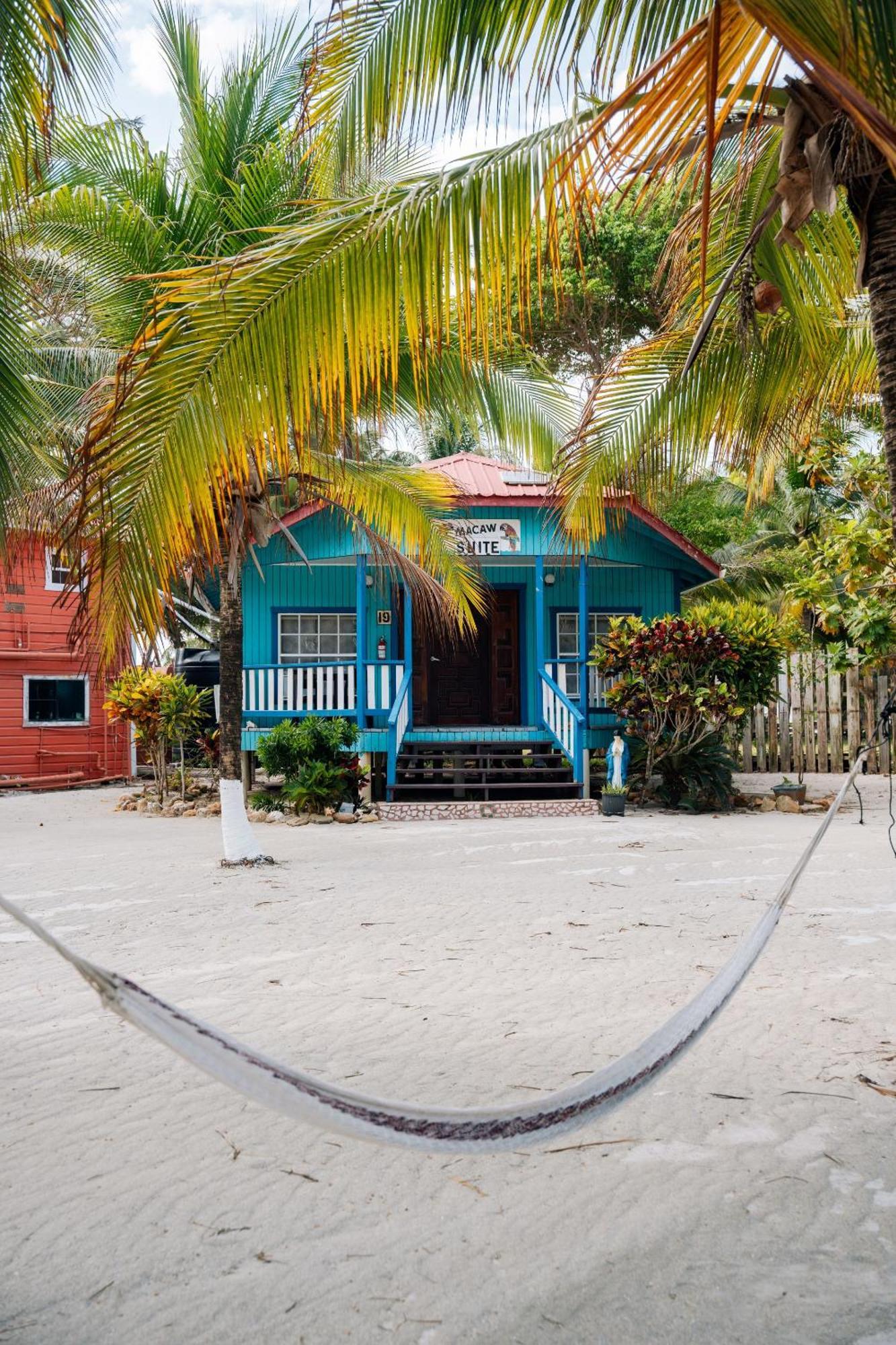 Blue Marlin Beach Resort Dangriga Eksteriør bilde