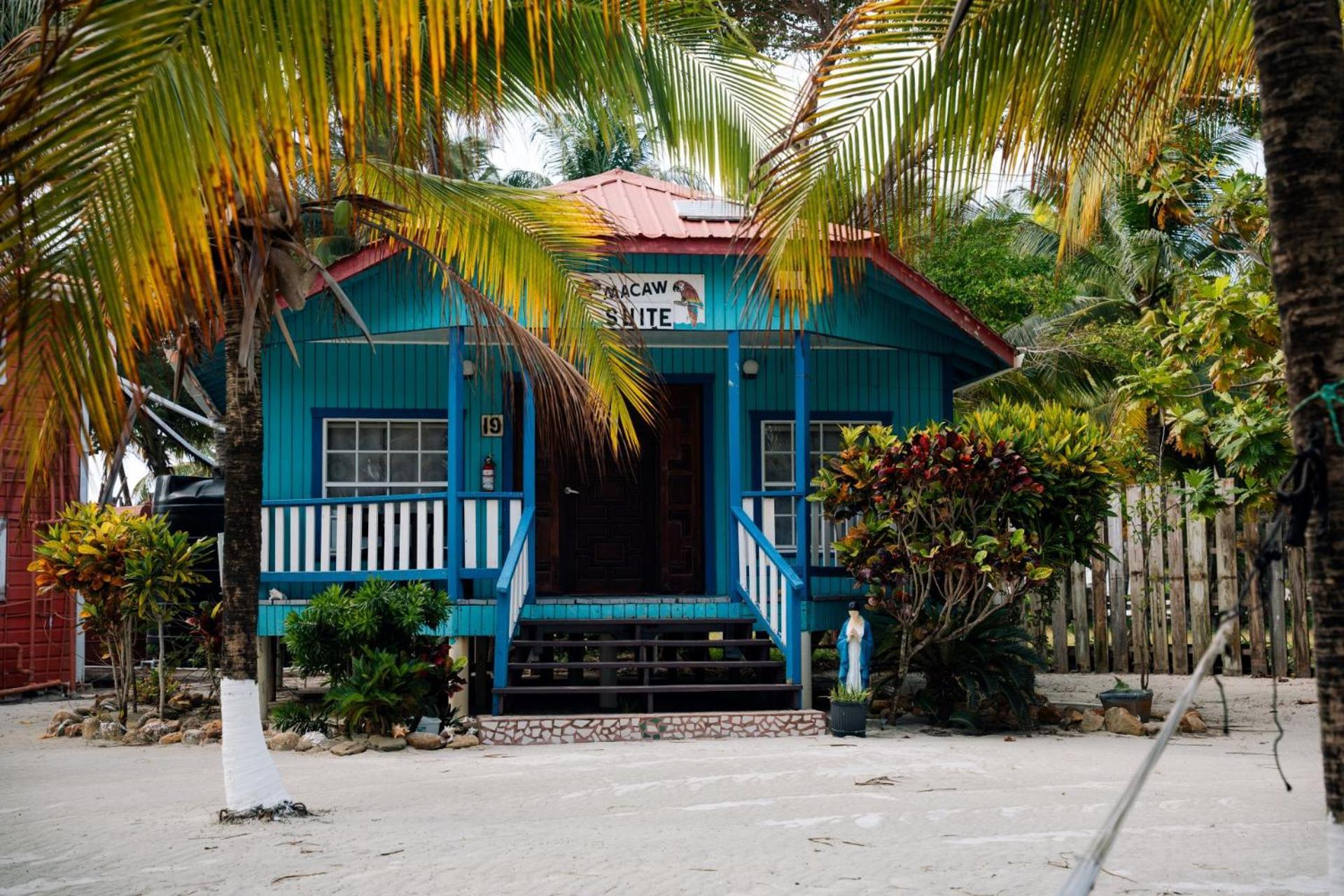 Blue Marlin Beach Resort Dangriga Eksteriør bilde