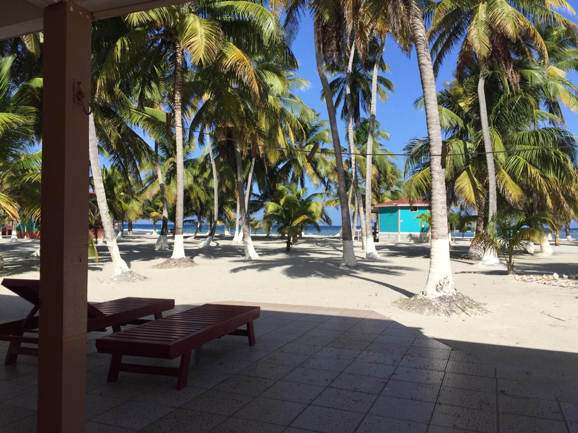 Blue Marlin Beach Resort Dangriga Eksteriør bilde